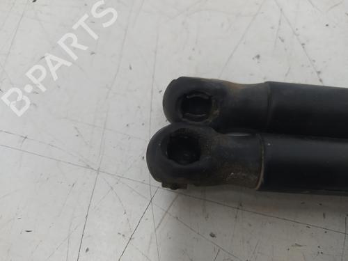 Tailgate lift support FORD FIESTA VI (CB1, CCN) 1.6 TDCi | BP25495145C138 