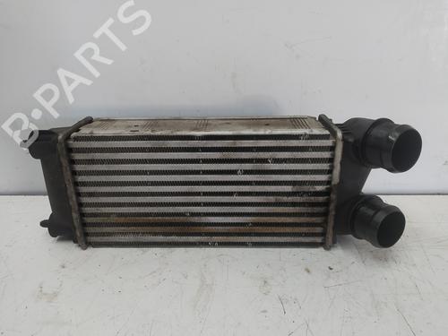 Used Intercooler PEUGEOT 3008 I MPV (0U_) 1.6 BlueHDi 120 (120 hp) 16960351