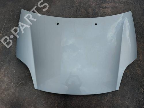 Hood FIAT BRAVO II (198_) 1.6 D Multijet (198AXH1B) | BP19487768C1 