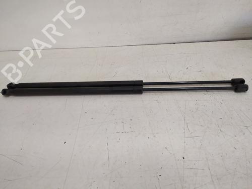 tailgate-lift-support-renault-megane-scenic-ja01_-1996-1997-1998-1999-2000-2001-31215401 main image