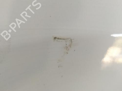 Left front fenders FORD GRAND C-MAX (DXA/CB7, DXA/CEU)  | BP29907016C41