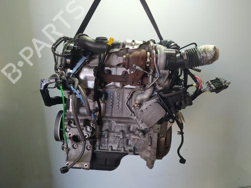 Used Engine FORD FIESTA VI (CB1, CCN) 1.4 TDCi (70 hp) 31854600