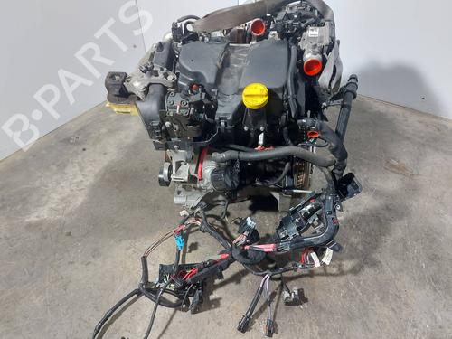 Engine RENAULT SCÉNIC III (JZ0/1_)  | BP29919069M1