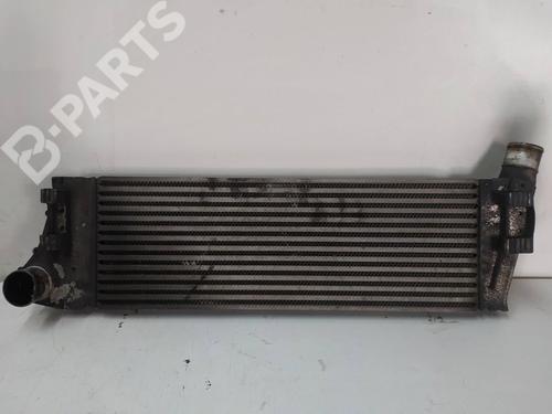 Used Intercooler Intercooler RENAULT MEGANE II Estate (KM0/1_) 1.9 dCi (KMRG, KM1G, KM0G, KM2C) (120 hp) 10351820 10351820