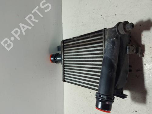 Intercooler DACIA SANDERO II  | BP18703940M30 