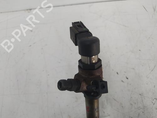 Injector LAND ROVER DISCOVERY III (L319) 2.7 TD 4x4 | BP19330466M100 