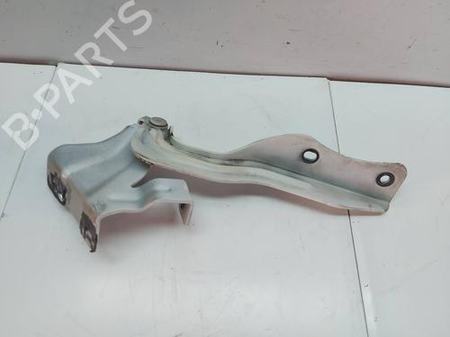 Hinge/Door check strap NISSAN QASHQAI II (J11, J11_)  | BP29541701C146 
