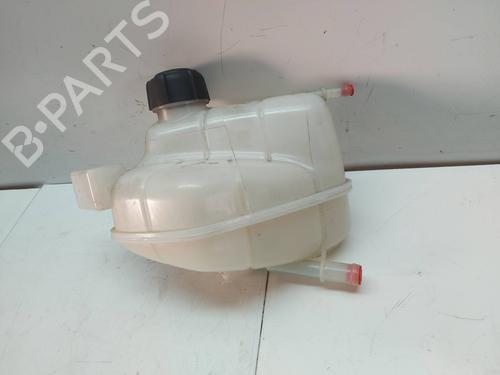 Expansion tank NISSAN QASHQAI II (J11, J11_)  | BP29573779C120 