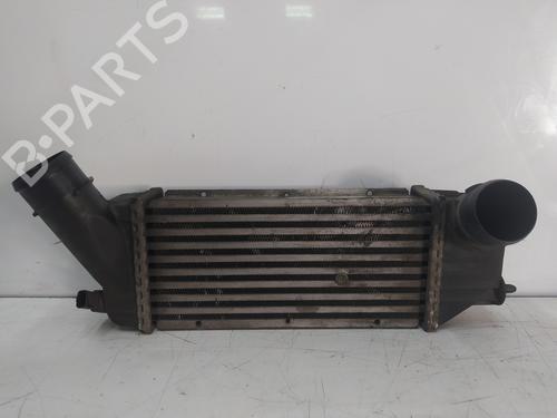 Used Intercooler CITROËN XSARA (N1) [1997-2005]  16411594