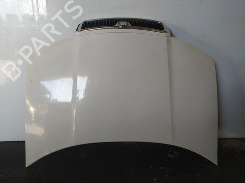 Used Hood SKODA FABIA I (6Y2) 1.9 TDI (100 hp) 22903725