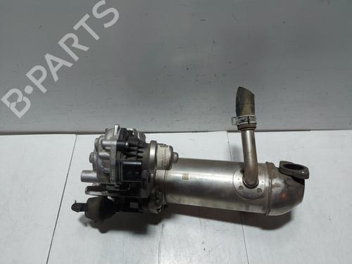 Egr FORD TRANSIT CUSTOM V362 Van (FY, FZ) | BP31094347M69