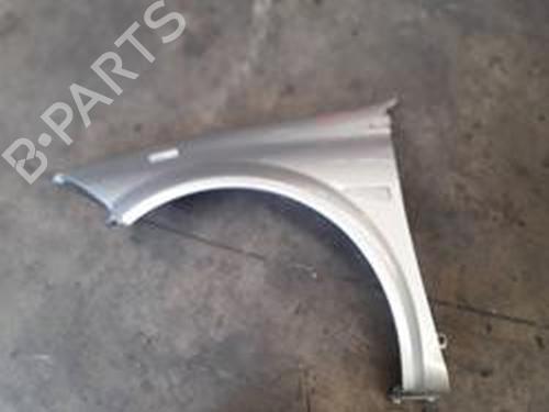 Used Left front fenders RENAULT MEGANE II (BM0/1_, CM0/1_) [2001-2012]  8700502