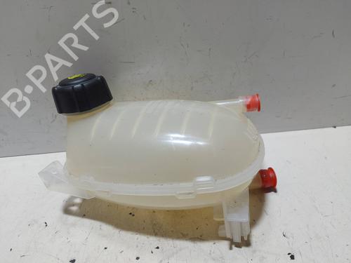 Used Expansion tank RENAULT CLIO V (B7_) [2019-2025]  23662087
