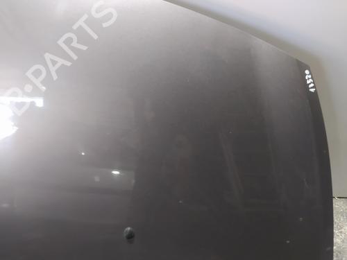 Hood RENAULT CLIO III (BR0/1, CR0/1)  | BP15560028C1 
