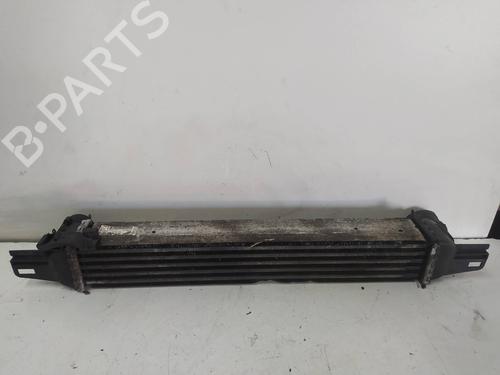 Intercooler CITROËN NEMO Box Body/MPV (AA_) 1.4 HDi | BP9671598M30 