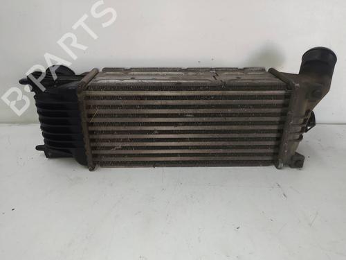 Intercooler PEUGEOT 407 SW (6E_, 6D_) 2.0 HDi 135 | BP10355981M30 