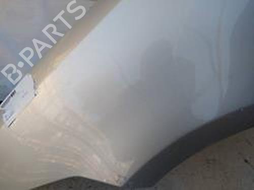 Left front fenders FORD FOCUS C-MAX (DM2)  | BP9222071C41 