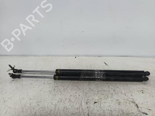 Used Tailgate lift support CHRYSLER VOYAGER / GRAND VOYAGER III (GS_, NS_) [1992-2001]  14156411