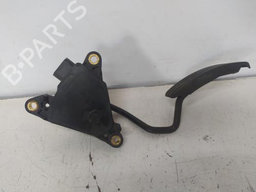 Pedal RENAULT CLIO III (BR0/1, CR0/1)  | BP15560056I4