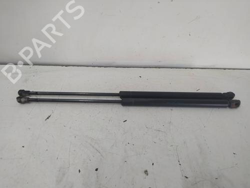 Used Tailgate lift support VW POLO (9N_, 9A_) 1.4 TDI (75 hp) 14156105
