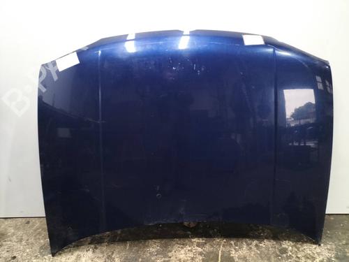 Motorhjelm VW GOLF IV (1J1) 1.9 TDI (110 hp) 8712556