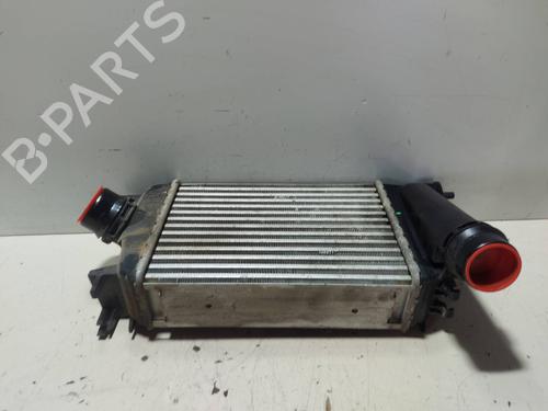 Intercooler NISSAN MICRA V (K14)  | BP23502923M30 