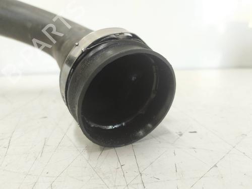 Pipe RENAULT MEGANE II (BM0/1_, CM0/1_)  | BP29395202M125 