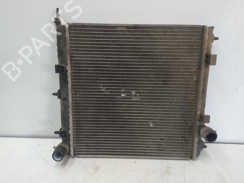 Used Water radiator Water radiator CITROËN C3 II (SC_) [2009-2026] 17192823 17192823