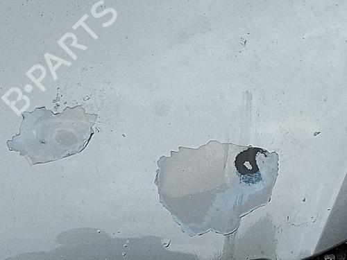 Hood VW PASSAT B6 (3C2) 2.0 TDI 16V | BP17440856C1 