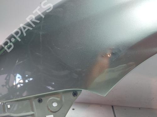 Left front fenders VW CADDY III Box Body/MPV (2KA, 2KH, 2CA, 2CH)  | BP32073696C41 