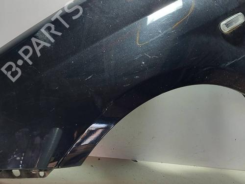 Left front fenders FIAT GRANDE PUNTO (199_)  | BP17624671C41 
