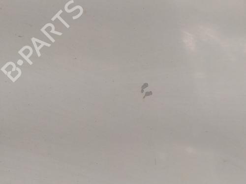 Right front fenders OPEL VIVARO A Van (X83) | BP30549304C42