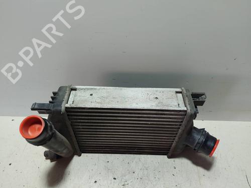 Intercooler DACIA SANDERO II  | BP18703940M30 