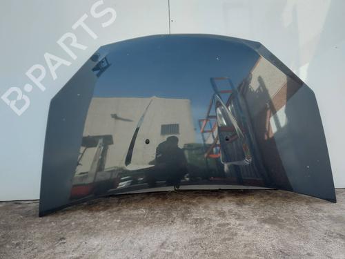 Hood DACIA SANDERO | BP31335167C1