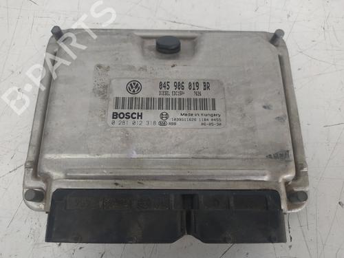 Motorstyringsenhed SEAT IBIZA III (6L1) [2002-2009]  8700608