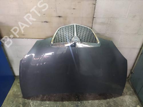 Used Hood LANCIA YPSILON (843_) 1.4 16V (843.AXC11, 843.AXC1B, 843.AXC1A) (95 hp) 17188404