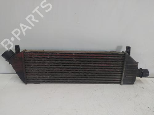 Intercooler NISSAN MICRA III (K12)  | BP11835849M30 