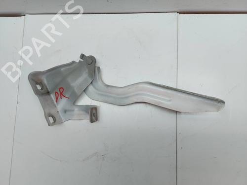 Hinge/Door check strap NISSAN QASHQAI II (J11, J11_)  | BP29541700C146 