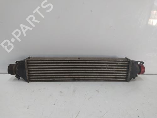 Used Intercooler FIAT DOBLO Cargo (263_) 1.3 D Multijet (90 hp) 16031024