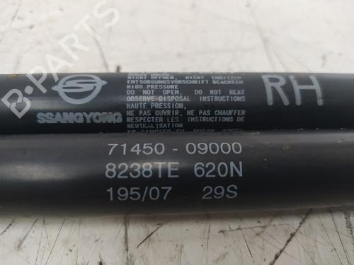 Tailgate lift support SSANGYONG KYRON 2.7 Xdi 4x4 | BP24039853C138 