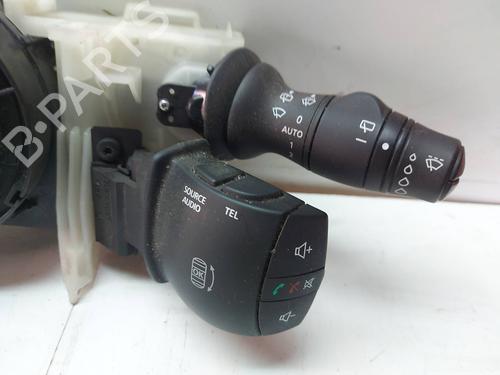 Headlight switch RENAULT SCÉNIC III (JZ0/1_)  | BP29919062I24