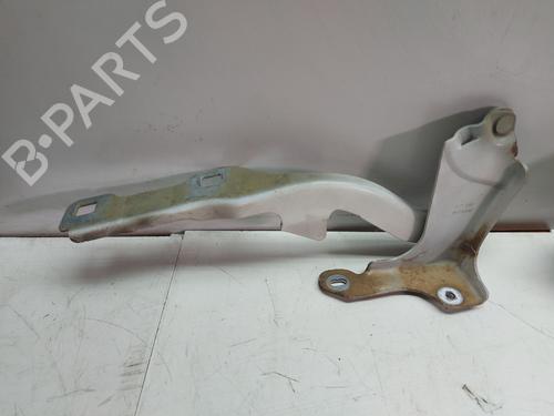 hingedoor-check-strap-peugeot-308-ii-lb_-lp_-lw_-lh_-l3_-2013-2014-2015-2016-2017-2018-2019-2020-2021-32251085 main image