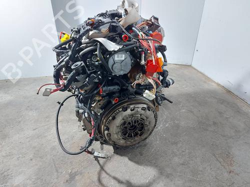 Engine RENAULT MEGANE II (BM0/1_, CM0/1_) 2.0 dCi (BM1K, CM1K) | BP19777369M1 