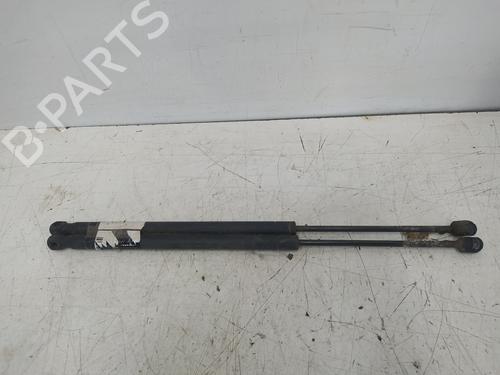 Used Tailgate lift support RENAULT SCÉNIC II (JM0/1_) 1.9 dCi (JM14) (131 hp) 14157186
