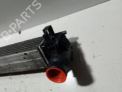 Intercooler RENAULT SCÉNIC III (JZ0/1_)  | BP18298651M30 
