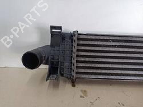 Intercooler FORD FOCUS C-MAX (DM2)  | BP9172916M30 