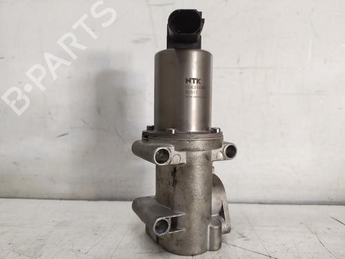 Egr FIAT BRAVO II (198_) 1.9 D Multijet (198AXB1A) | BP29824771M69 