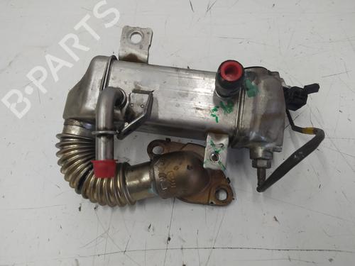 Egr NISSAN QASHQAI I (J10, NJ10)  | BP18109693M69 