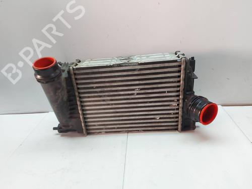 Used Intercooler NISSAN QASHQAI II (J11, J11_) [2013-2025]  29573777