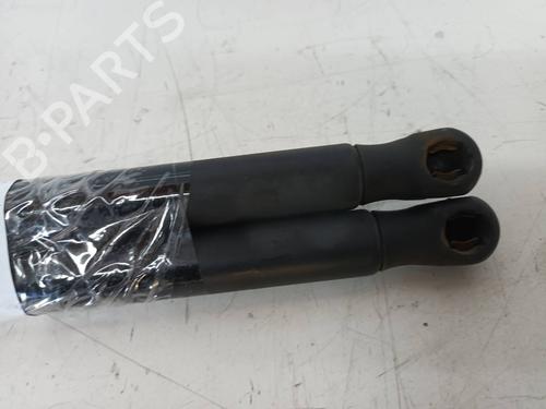 Tailgate lift support FORD FIESTA V (JH_, JD_)  | BP15181864C138 